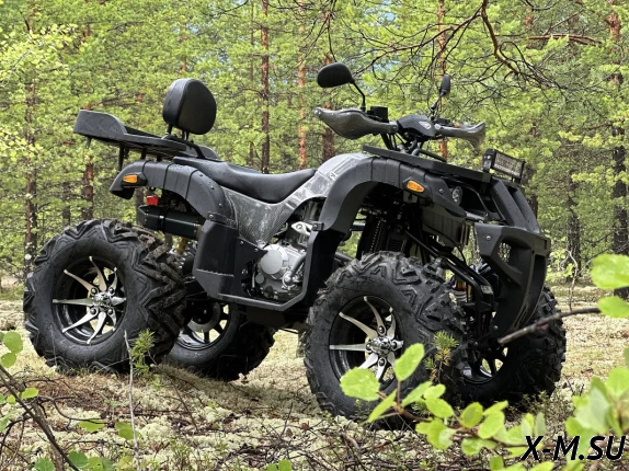 Квадроцикл PROMAX 320 DOMINATOR