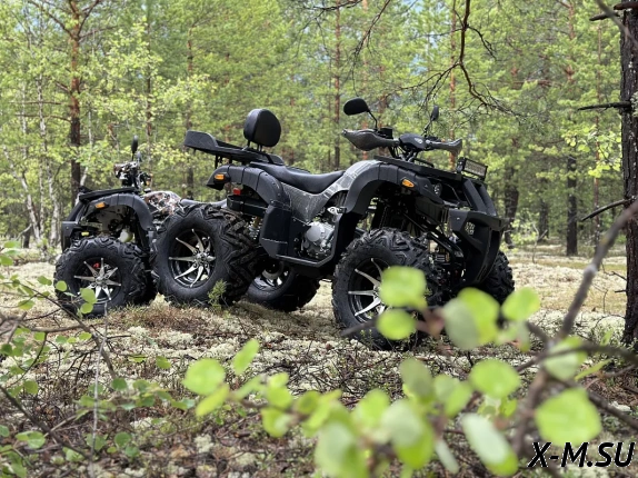 Квадроцикл PROMAX 320 DOMINATOR