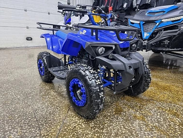 Квадроцикл PROMAX ATV MINI 2T 70CC р/с