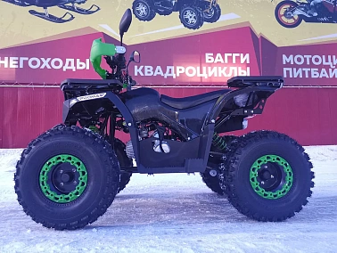 Квадроцикл PROMAX WILD 175 LUX