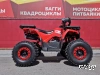 Квадроцикл PROMAX WILD 175 BASIC