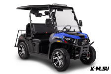 Мотовездеход (UTV/БАГГИ) AODES 300-10 Golf