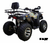 Квадроцикл ATV Classic 200 Premium