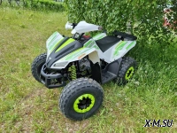 Квадроцикл PROMAX SPORT - PRO 180 (2024)