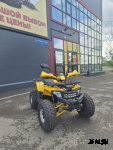 Квадроцикл PROMAX WILD 2.0 190 PRO Желтый  Б/У